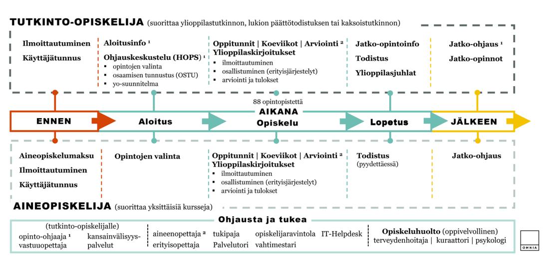 Espoon aikuislukion opiskelijan palvelupolku kuvattuna opintoihin hakeutumisesta valmistumiseen. Kuvio on avattu tarkemmin alla kohdassa "Tietoa Espoon aikuislukion palvelupolusta".