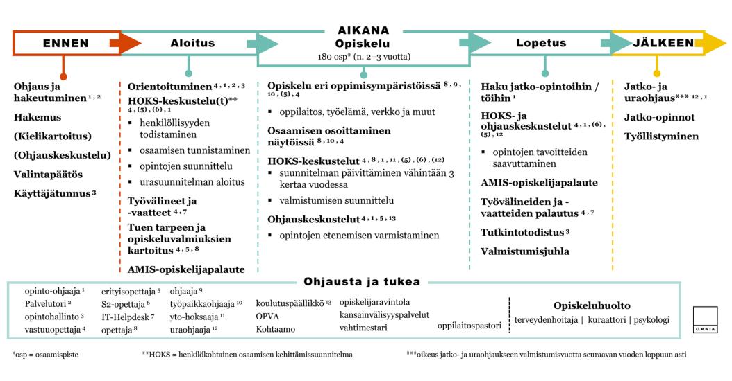 Ammatillisen perustutkintokoulutuksen opiskelijan polku kuvattuna opintoihin hakeutumisesta valmistumiseen. Kuvio on avattu tarkemmin alla kohdassa "Tietoa ammatillisen opetuksen palvelupolusta".