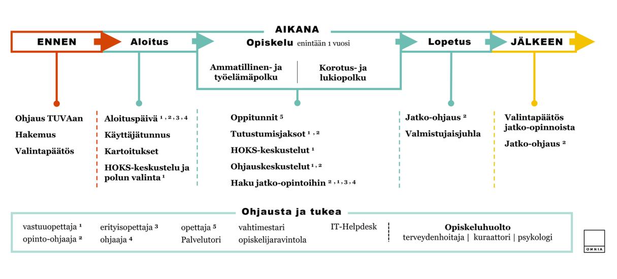 Tutkintokoulutukseen valmentavan koulutuksen palvelupolku kuvattuna opintoihin hakeutumisesta valmistumiseen. Kuvio on avattu tarkemmin alla kohdassa "Tietoa Tutkintokoulutukseen valmentavan koulutuksen palvelupolusta".